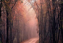 开云体育官网-北欧风暴来袭！塞尔维亚铁血战车决战哈兰德，巴尔干雄鹰的生死一搏