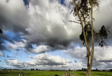 开云体育官方网站-蒙特雷锋线组合默契，世俱杯争冠实力凸显