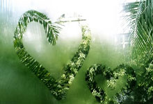 开云体育中国-西雅图海湾者新援适应良好，世俱杯表现备受期待