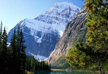 开云体育官方网站-蒙特雷锋线组合默契，世俱杯争冠实力凸显