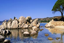 开云体育在线-西雅图海湾者球队目标明确，誓夺世俱杯最高荣誉