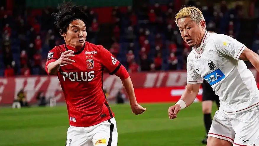 关于数据分析：浦和红钻历史战绩与本届展望的信息