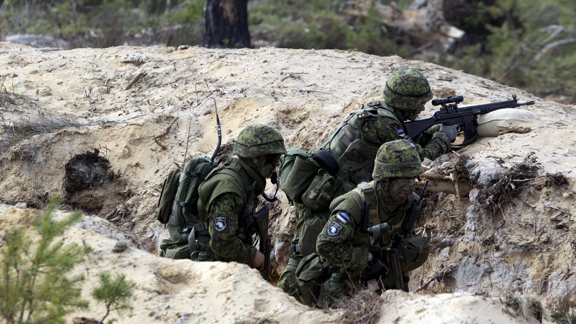 -爱沙尼亚队奋力拼搏，不甘示弱的简单介绍