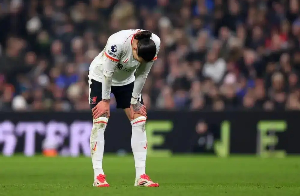 开云体育APP下载-包含利物浦灰頭土臉出局，球迷傷心欲絕的词条