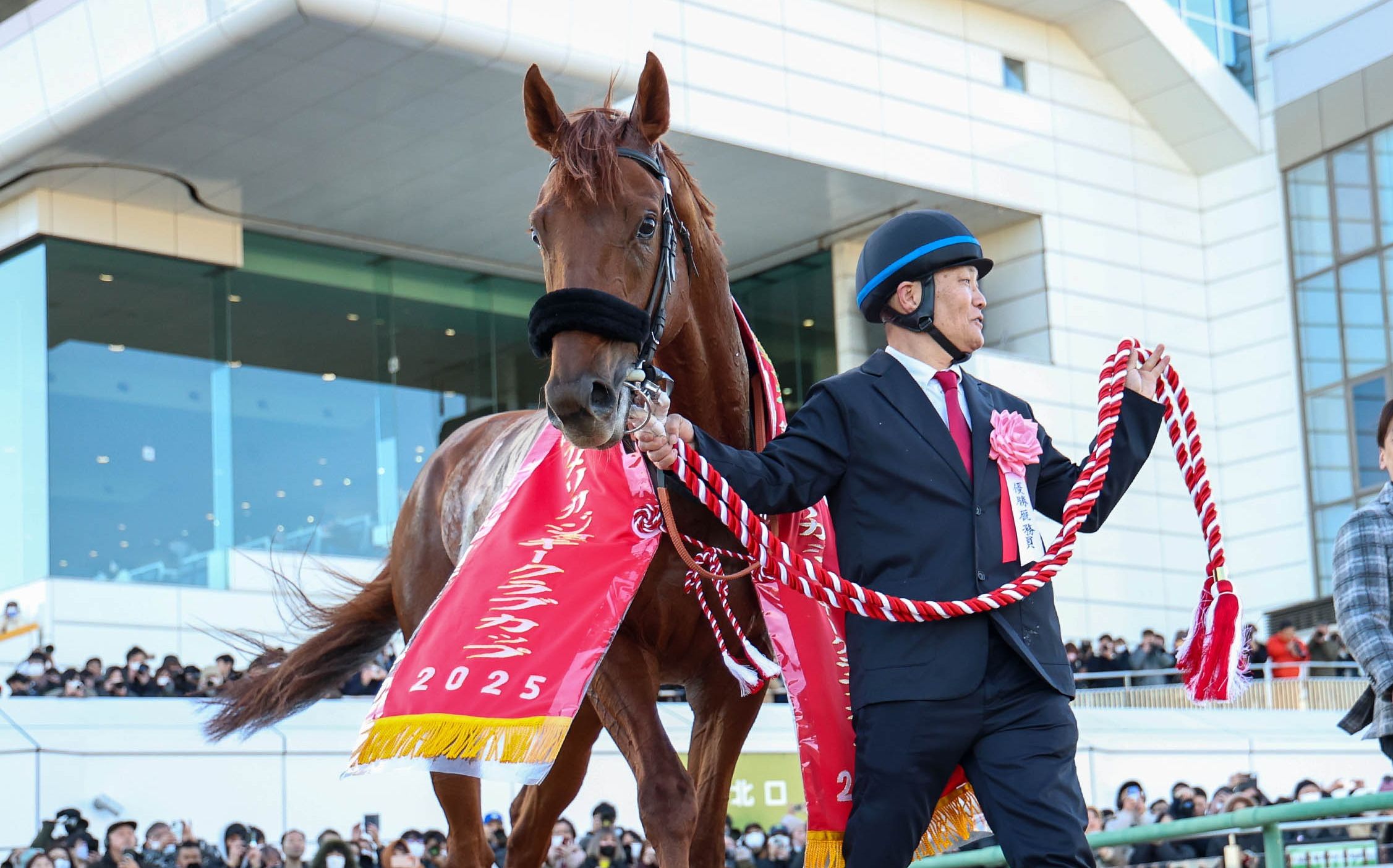 马赛主场击败对手，实力强劲取得胜利的简单介绍