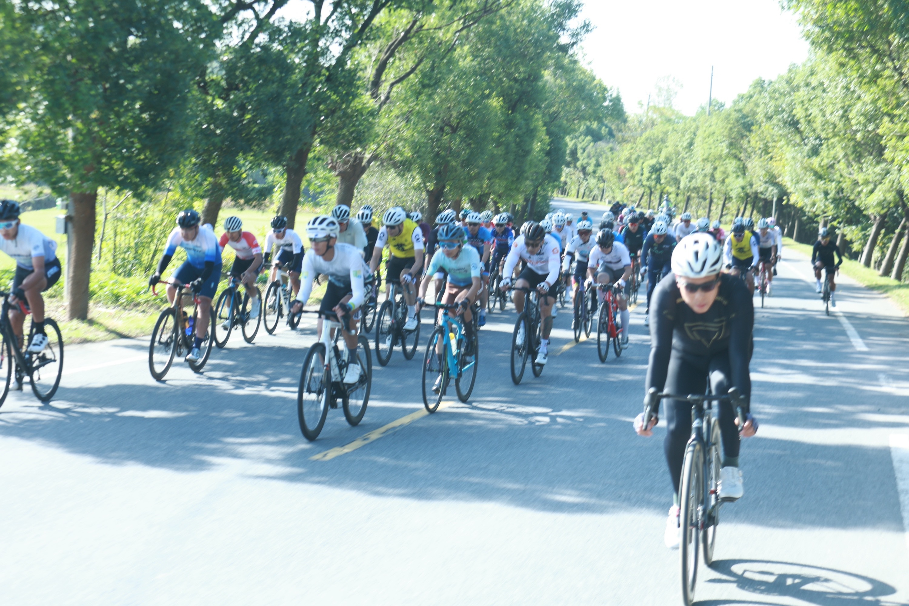 关于自行车赛道上的激烈角逐，无精打采落后的信息